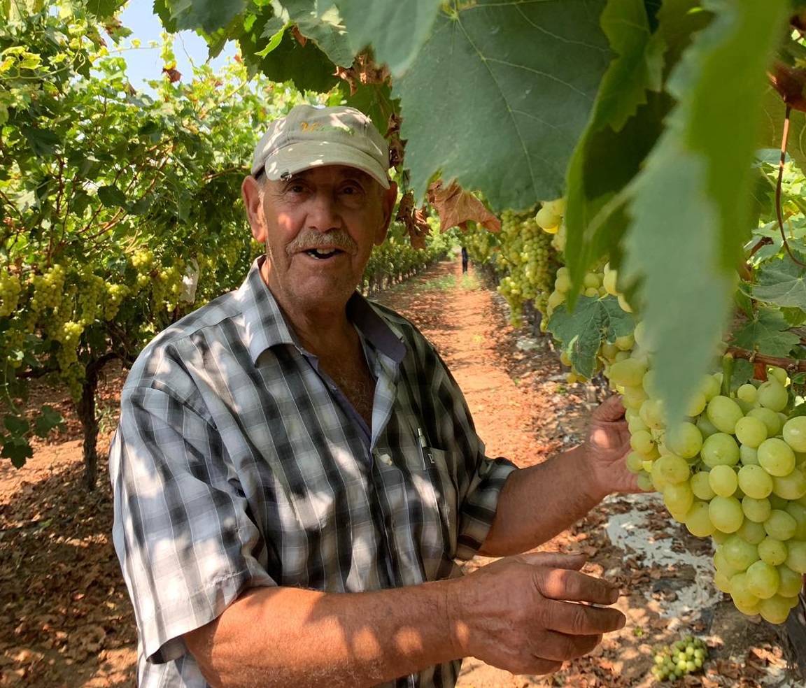 הכירו את ניסן!!